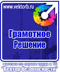 Типовые схемы организации дорожного движения в Березники купить vektorb.ru